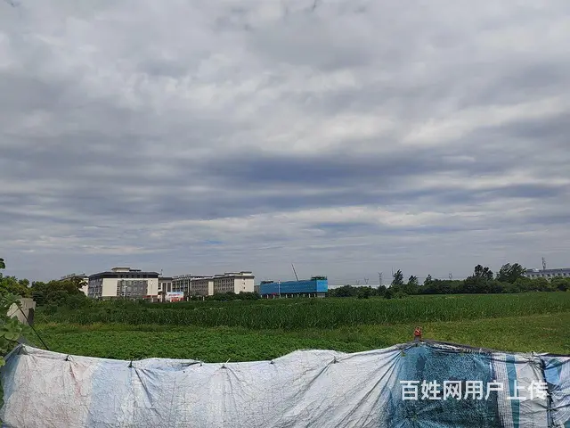 临沭县工业区内工业用地出售，直接一手出让，成本价。 - 图片 4