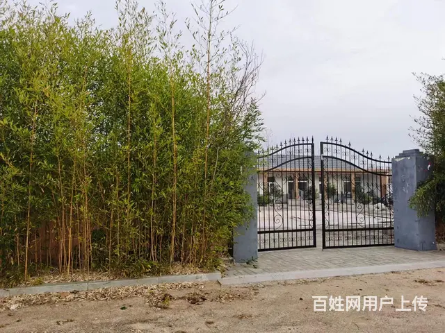 文登泽头独门独院多面积厂房山庄出租 - 图片 10