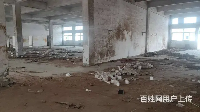 古里13440平，可分租，场地大，可快递，物流，贸易公司等。 - 图片 9