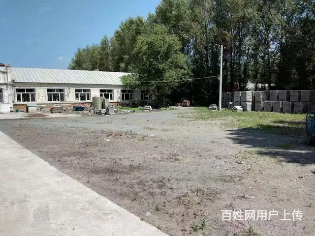 松北区万宝镇厂房场地出租 - 图片 3