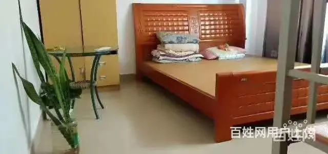 海南乐东利国商业街有房出租 - 图片