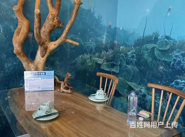（51旺铺推荐）亚龙湾博后村400平餐饮店出租 - 图片 8