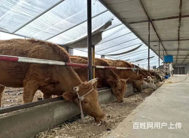 衡阳到长沙网约车拼车商务车私家车小车队电话‌ - 图片