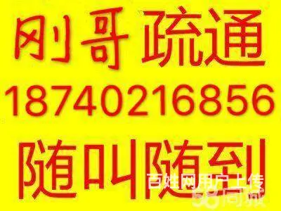 辽化宏伟区疏通各种下水道 马桶 维修安装坐便马桶 - 图片