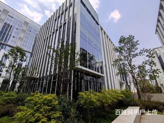 富春中国安谷花园独栋1100方2000方精装送大院子仅剩6栋 - 图片 11