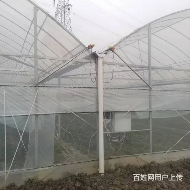 联动大棚出租 - 图片 6