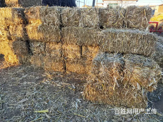 华德单粉打捆机车况好干活中 - 图片 4