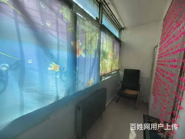 出租 - 图片 8