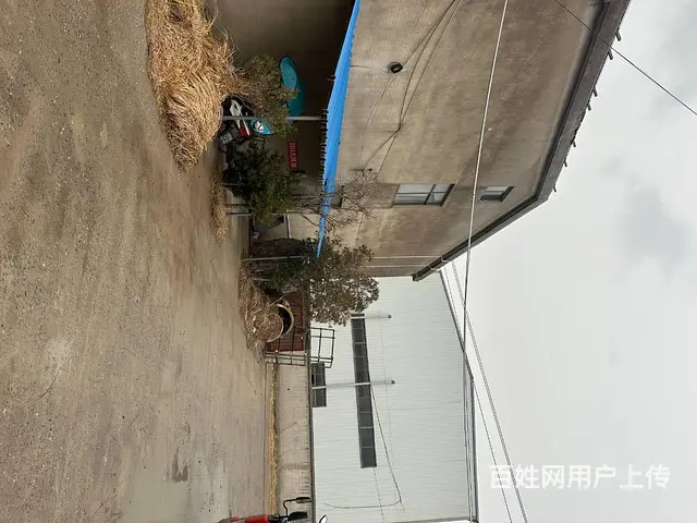 ​（城市在线找房免费）棠张独门独院厂房出租 - 图片 5