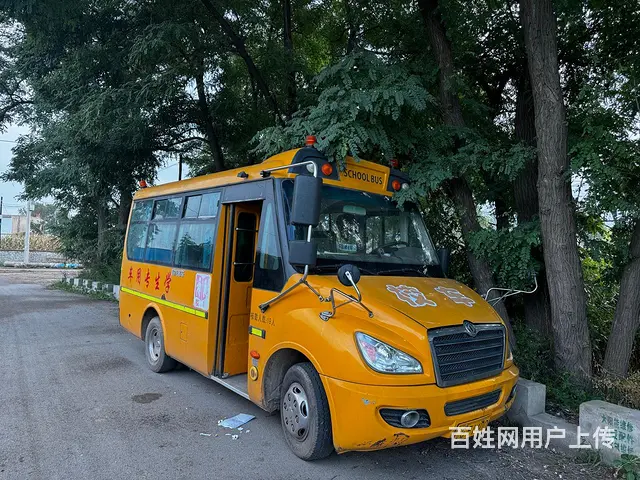校车 - 图片 4