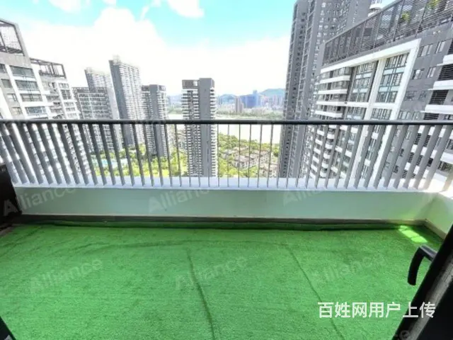 中信红树湾南区精装4房，8000/月，红树湾专家 - 图片 7