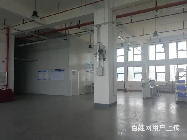 南屏屏西路独门、独院厂房 - 图片 6