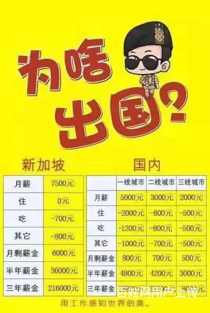 出国工作签证，务工业办理公司，多个国家合作 - 图片 3