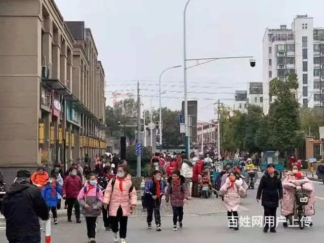速抢！菜场校门口租金35万一年，特惠总价仅570万双边沿街铺 - 图片 7