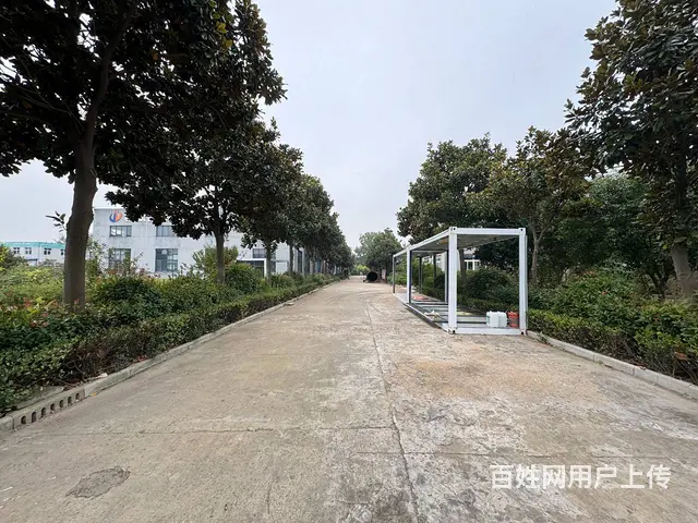 （徐州找店网）新沂开发区标准厂房出租 - 图片 2