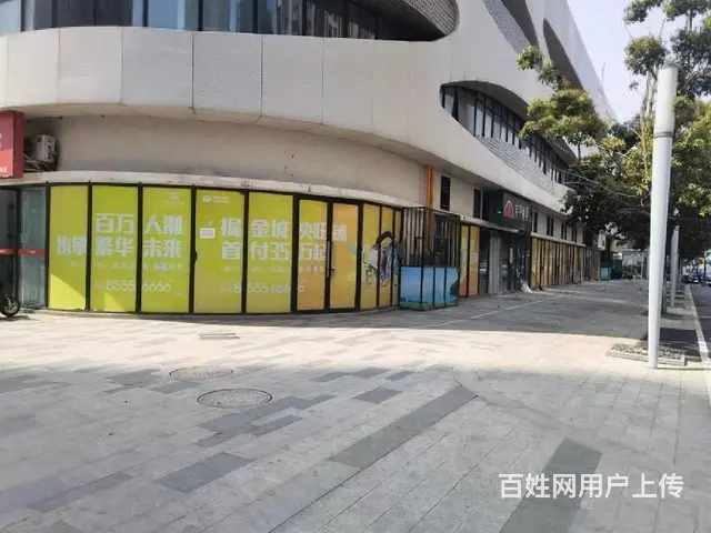 单价9转角商铺 20个车位 市中心送4套一楼商铺 沿街现铺 - 图片 9