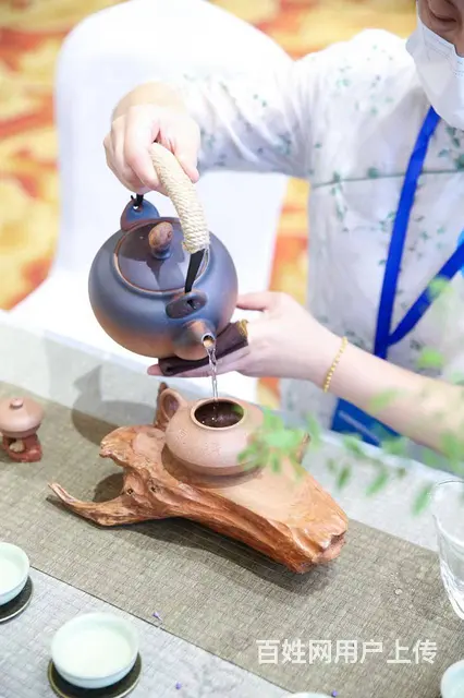 苏州姑苏区茶艺师3月23日周末小班授课学习 - 图片 2