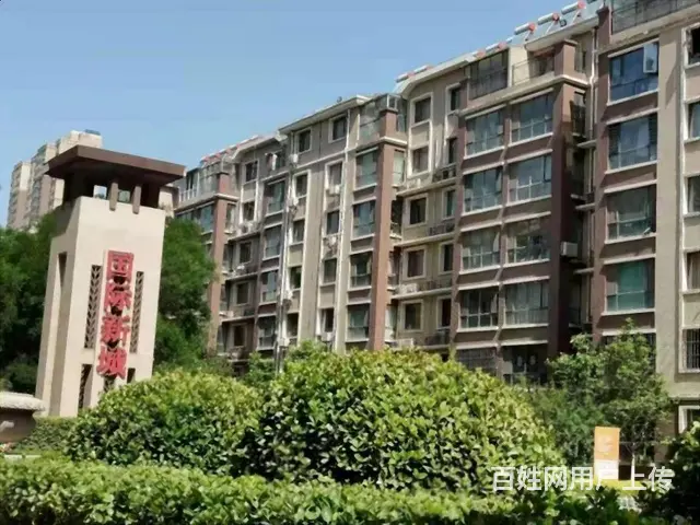 国际新城  大三居  全明户型  好楼层  老证 有钥匙 - 图片 11