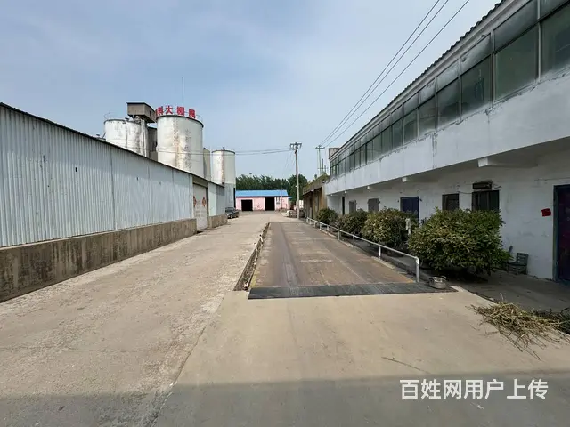 （徐州找店网）沛县沛敬路旁标准厂房出租 - 图片 1