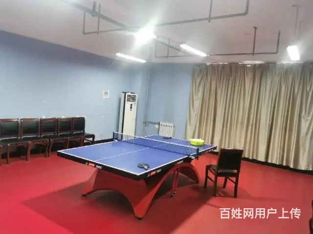 学习乒乓球 - 图片 2