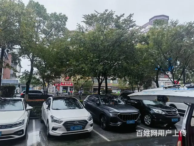 淘铺铺推荐 昆山市生鲜超市转让 - 图片 8