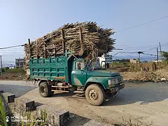 福达福龙