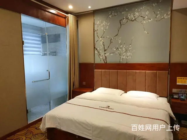 （精选好铺）三台县位置超好精装修酒店转让 - 图片 5
