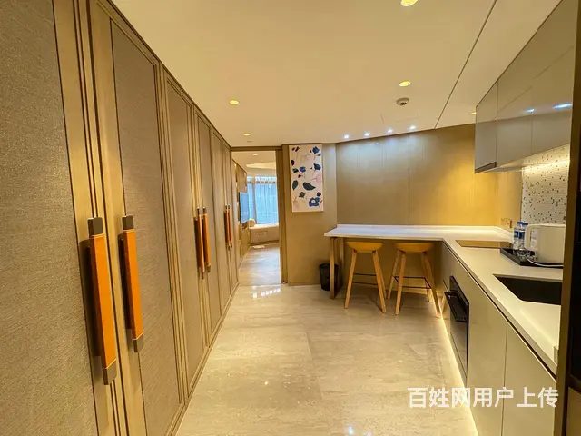 紧急出租欧美中心国际公寓1室81.00平 - 图片 9