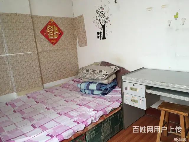 出租鲁东大学东门单间可月付 - 图片 3