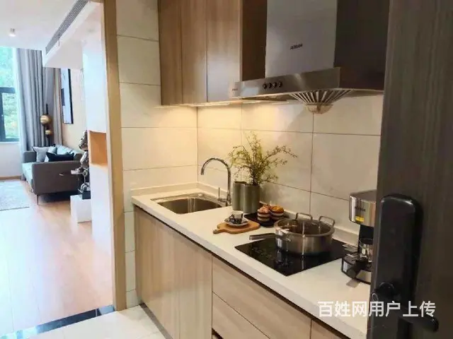 首付二十多买新北环球港两室地铁口外国语陪读房平层复试可选 - 图片 3
