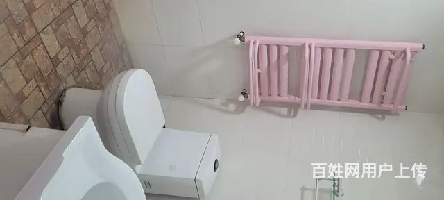翠湖御景北区10楼一室暖气房 - 图片 9