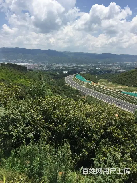 4782（商客网）宜良狗街镇290亩板栗园林地低价转让/出售 - 图片 7