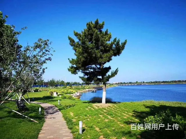 海世界精装修 真实在售 11层小高层 好楼层6米阳 - 图片 12