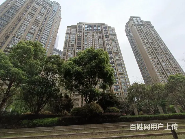 接待 办共 绿地  缤纷城 万象城 国际金融城 - 图片 9