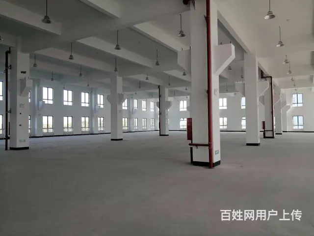 金阳路边出租一楼厂房600平700平800平，原房东丙类消防 - 图片 9