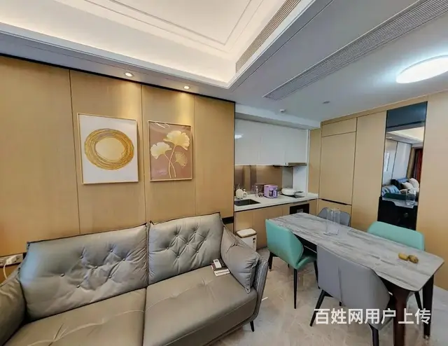 前山轻轨站楼上 环宇城 1室1厅 精装修 全齐 - 图片 5