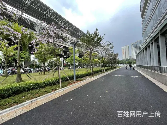 （三横王）海口高铁东站，210平 有车位； - 图片 8