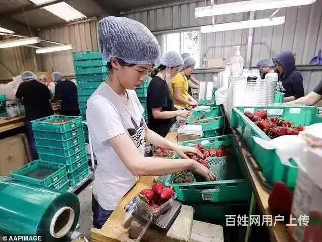 出国劳务-合法工签-不成功不收费-境外雇主直招 - 图片 2