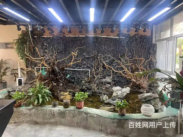 1006城北区朝阳西路喜集文化街商铺低价转让 - 图片 2