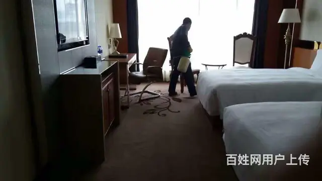 珠海白蚁防治  杀虫 灭鼠 灭蟑螂 灭跳蚤 红火蚁 - 图片 6