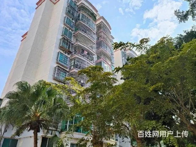 出售南沙路  明珠星苑3房电梯房 - 图片 11