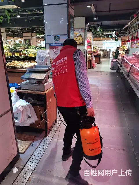 蕲春家庭灭白蚁灭跳蚤灭臭虫公司 - 图片