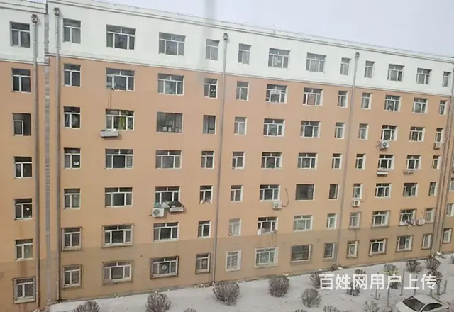  - 图片 1