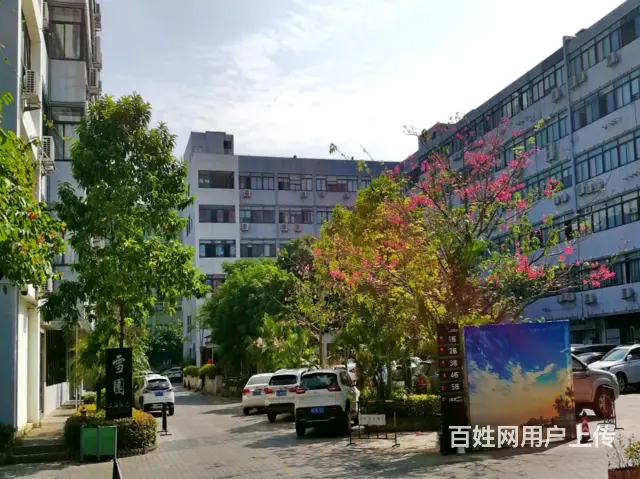 政府补贴！南屏商区中心一楼155平米旺铺 位置好 - 图片 8