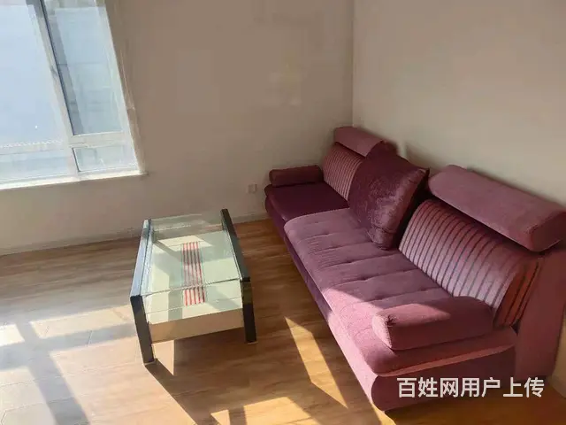 鼎鑫国际93平 精装修月租1300 - 图片 2