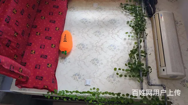 新都汇小商品市场唐宫路小学3室拎包入住 - 图片 4
