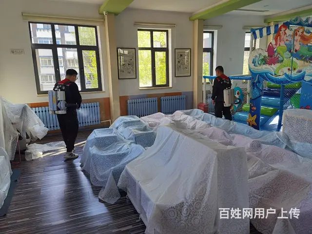沈阳专业消杀公司、消毒、灭鼠、灭蟑螂、灭蚊蝇、除虫 - 图片 2