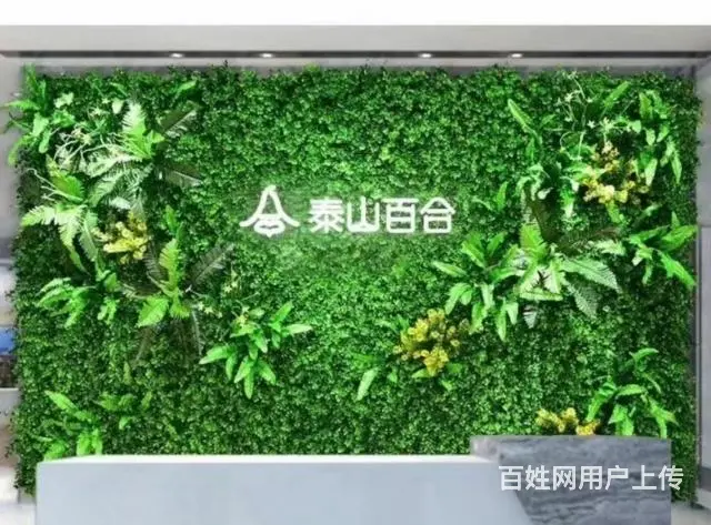 泰山百合婚介诚招加盟商 - 图片 2