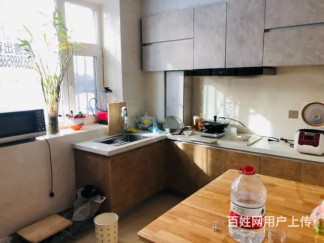 【搞定了！】北欧印象精装修出租 - 图片 4