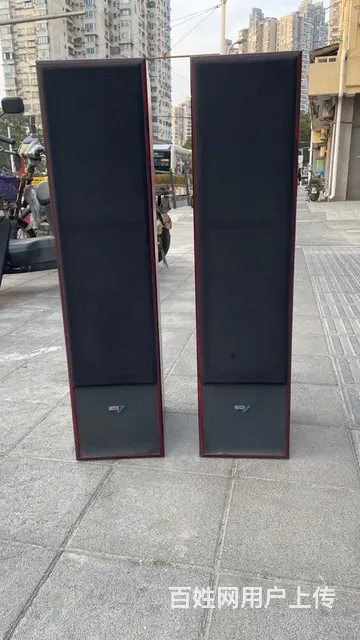 转让一对德国原装进口德高发烧落地音箱，双6.5寸寸 - 图片 2
